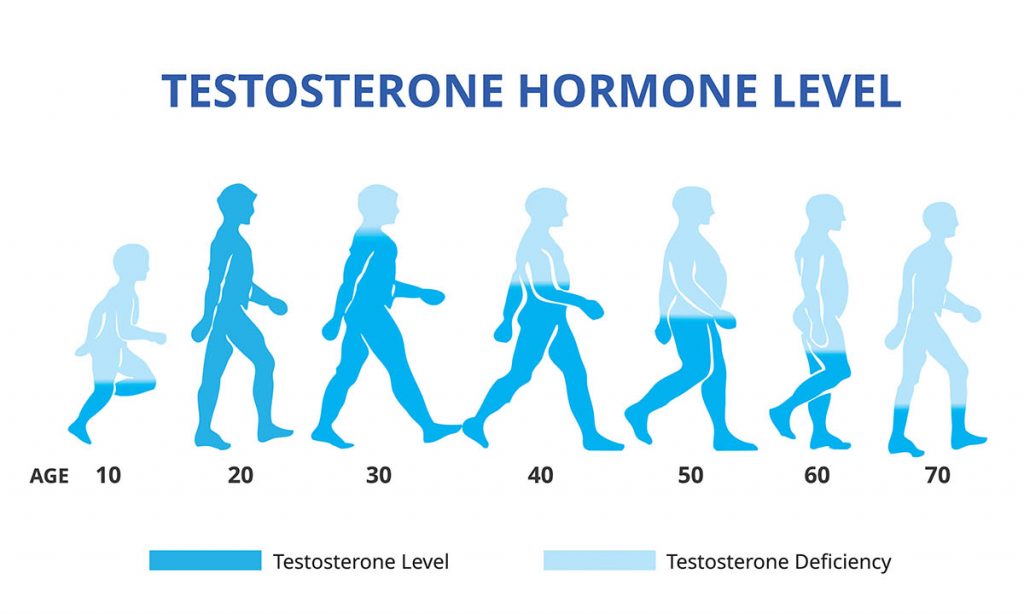 How testosterone levels decline by age