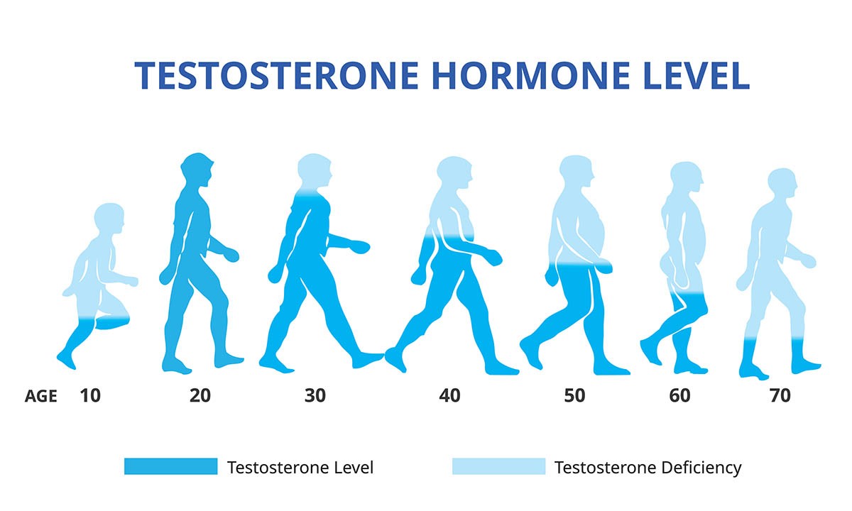 Low Testosterone in Women Symptoms and Treatment