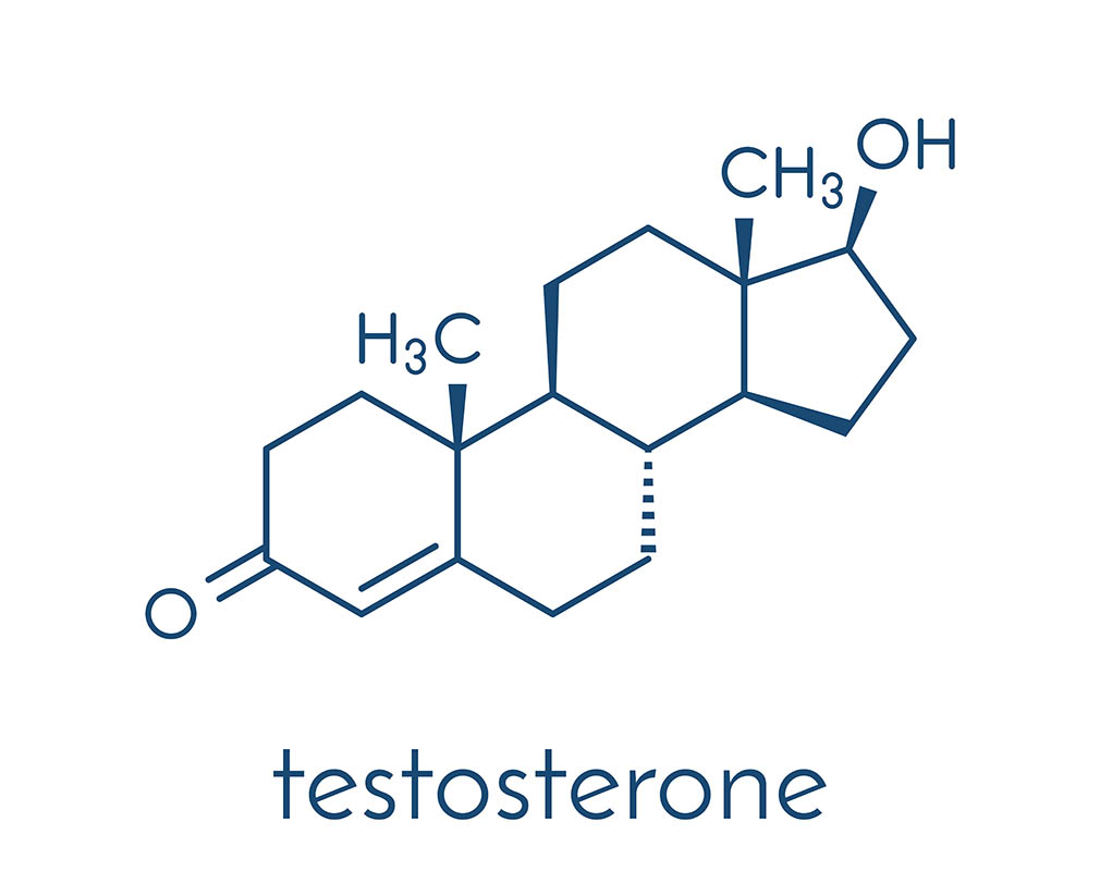 Testosterone molecular formula